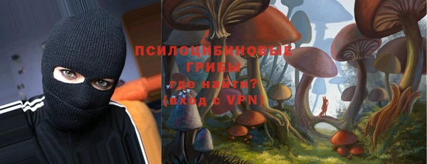 PSILOCYBIN Верея
