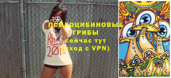 ешки Бугульма