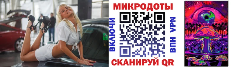 Псилоцибиновые грибы Psilocybine cubensis  Дербент 